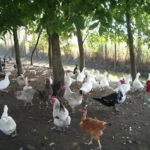 https://agriturismo-antica-corte-cason.hotelinveneto.com